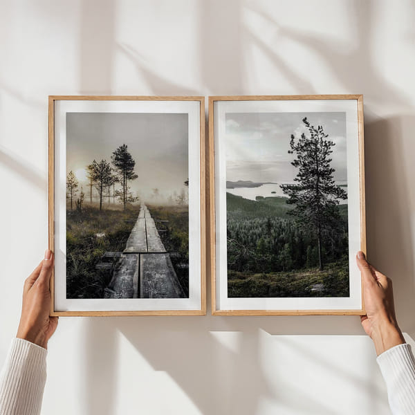 Parete con due motivi forestali in colori armoniosi Perfect Pair Suomi Nature poster wall
