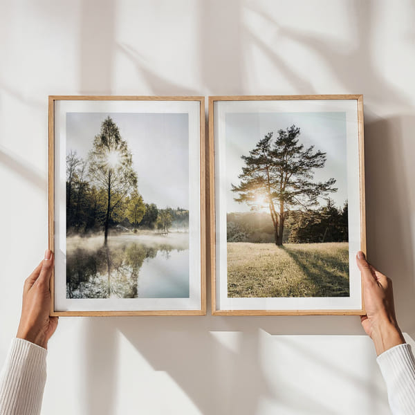 Ściana obrazowa z dwoma uspokajającymi motywami natury w delikatnym świetle Perfect Pair Trees In Sunlight poster wall