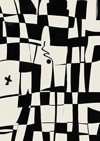 Elegant geometric design in black and white gives a modern feel-7