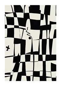 Elegant geometric design in black and white gives a modern feel-1