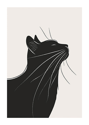 Plakatas Cat In Shadow