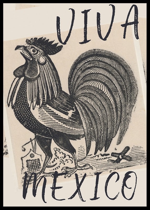 Hrdý kohút s textom 'Viva Mexico' vo vintage štýle-12