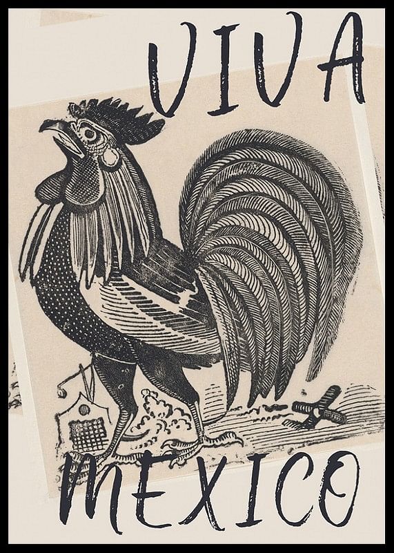 Un cocoș mândru cu textul „Viva Mexico” în stil vintage-12