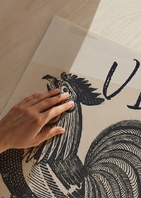 Hrdý kohút s textom 'Viva Mexico' vo vintage štýle-3