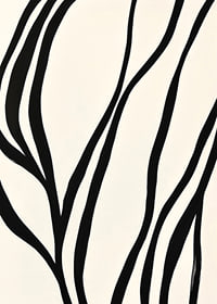 Black lines curve elegantly against a white background-7