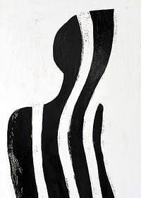 Liniile alb-negru creează o siluetă misterioasă și elegantă-3
