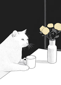 Un gatto e dei fiori in armoniosa semplicità-7