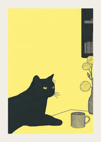 En stilren katt i ett gult rum ger en lugn atmosfär-3