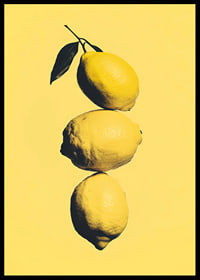 Three elegant lemons on a sunny yellow background that radiates energy-6
