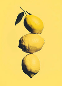 Three elegant lemons on a sunny yellow background that radiates energy-7