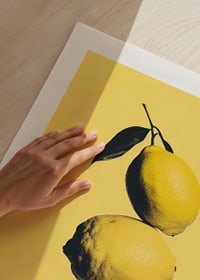 Three elegant lemons on a sunny yellow background that radiates energy-9