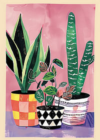 Colorful plants in patterned pots against a pink background-1
