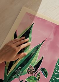 Colorful plants in patterned pots against a pink background-3