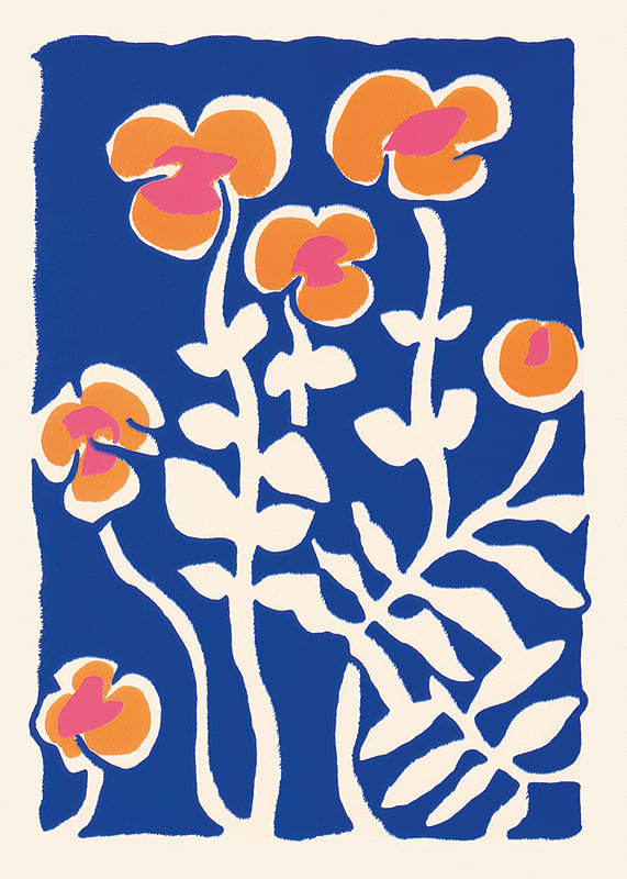 Poster Vibrant Vignette