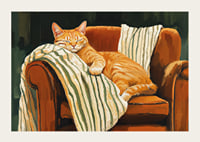 A cat sleeps peacefully in an armchair with a striped blanket-3