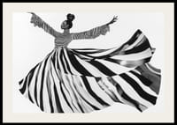 Riscas pretas e brancas varrem o ar com movimento elegante-2