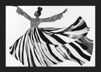 Riscas pretas e brancas varrem o ar com movimento elegante-5