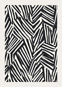 Dynamic black and white lines create visual energy-3