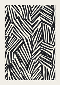 A dinamikus fekete-fehér vonalak vizuális energiát hoznak létre-3