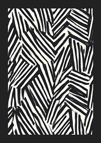 Dynamic black and white lines create visual energy-5
