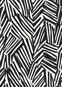 Dynamic black and white lines create visual energy-7