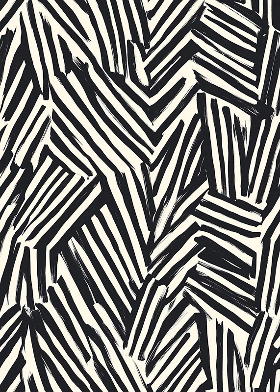Dynamic black and white lines create visual energy-12