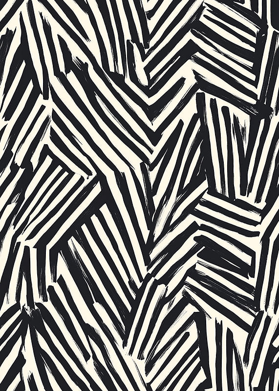 Des lignes dynamiques en noir et blanc créent une énergie visuelle-12