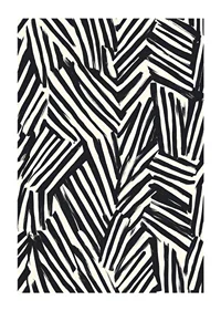 Dynamic black and white lines create visual energy-1