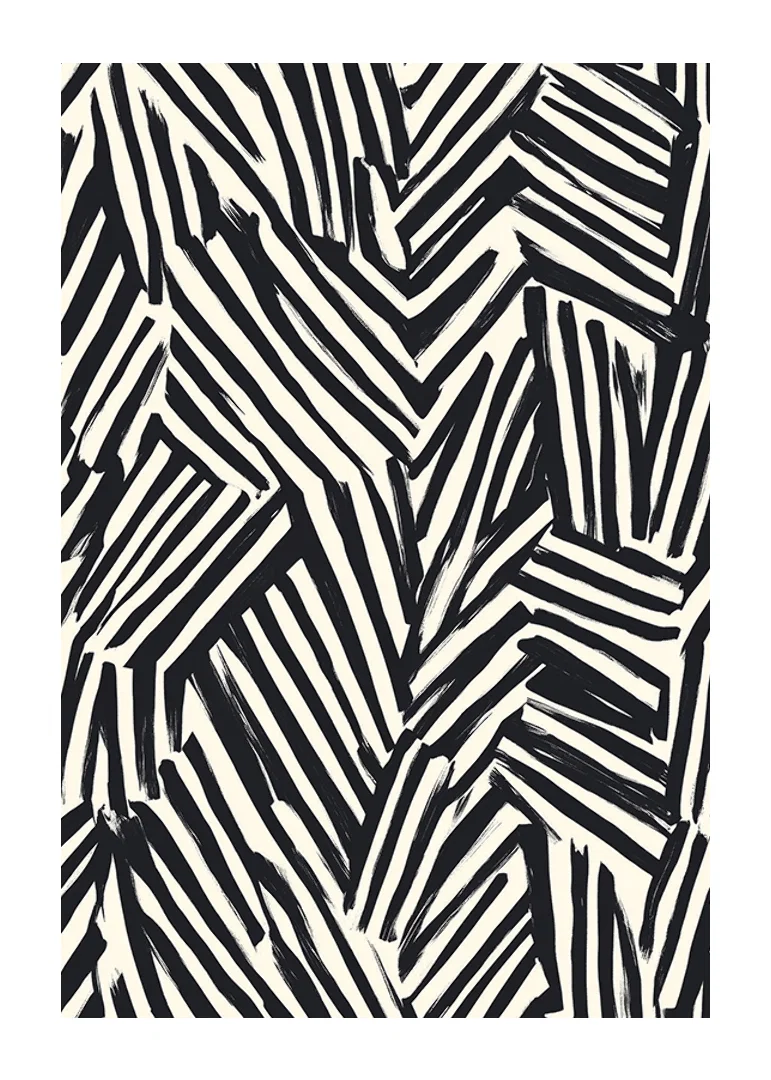 Dynamic black and white lines create visual energy-12