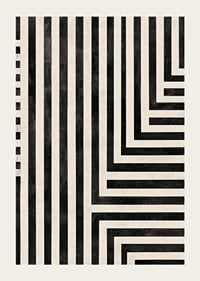 Dynamic lines in black and white create a hypnotic symphony-3