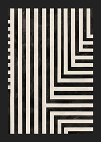 Dynamic lines in black and white create a hypnotic symphony-5