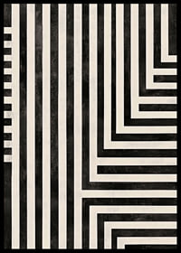 Dynamic lines in black and white create a hypnotic symphony-6