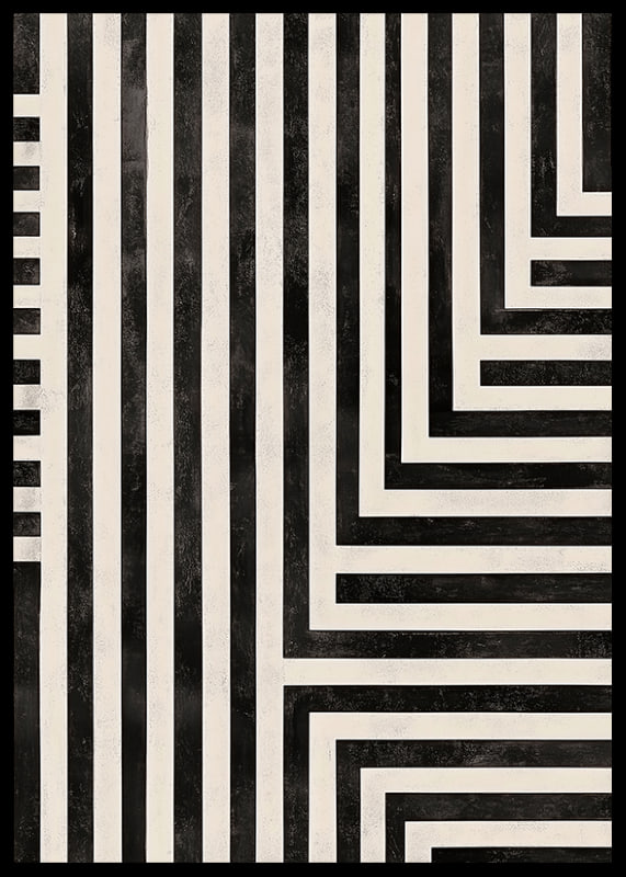 Dynamic lines in black and white create a hypnotic symphony-12
