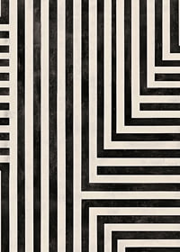 Dynamic lines in black and white create a hypnotic symphony-7