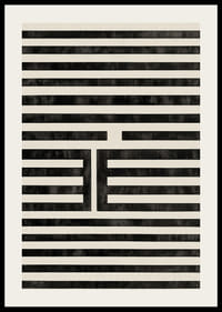 Hypnotická symetria čiernych a bielych čiar fascinuje a upokojuje-2