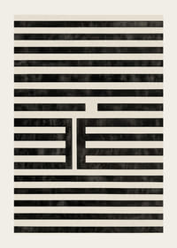 Hypnotická symetria čiernych a bielych čiar fascinuje a upokojuje-3