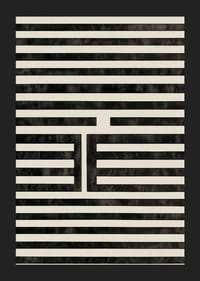 Hypnotická symetria čiernych a bielych čiar fascinuje a upokojuje-5