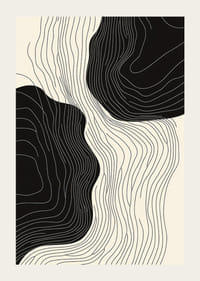 Elegante, fließende Linien sorgen für auffällige Dynamik-3