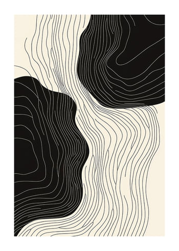 Plakatas Fluid Symmetry