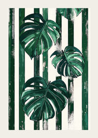 Monstera-blad i djärva gröna och vita ränder skapar liv och stil-3