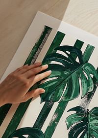 Frunzele de monstera în dungi verzi și albe îndrăznețe creează viață și stil-5