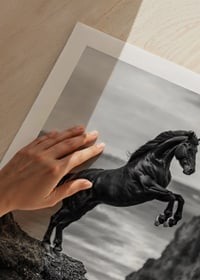 A mighty horse on a cliff in front of stormy waves-9