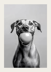 Glad hund med boll i munnen som utstrålar lekfullhet och glädje-3