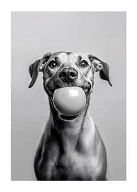 Glad hund med boll i munnen som utstrålar lekfullhet och glädje-1