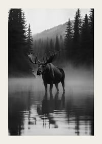 A majestic moose stands by a misty forest lake-3