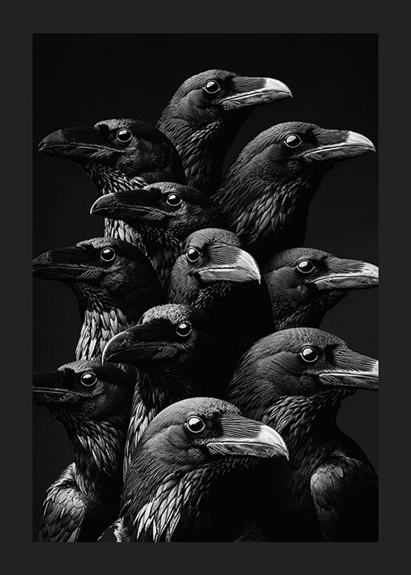 Póster Dark Raven Gathering