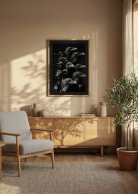 Fascinujúca zbierka havranov v dramatickom monochromatickom štýle-8