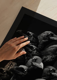 Fascinujúca zbierka havranov v dramatickom monochromatickom štýle-9