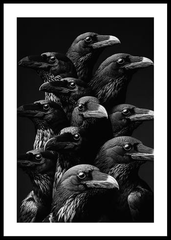 Poster Dark Raven Gathering