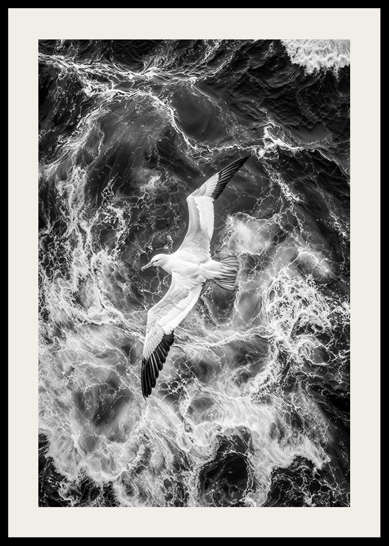 En fågel svävar över dramatiska vågor, uppfylld av frihet-12